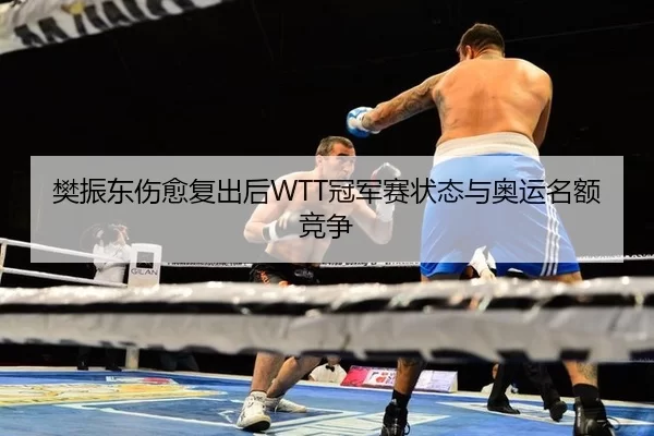樊振东伤愈复出后WTT冠军赛状态与奥运名额竞争